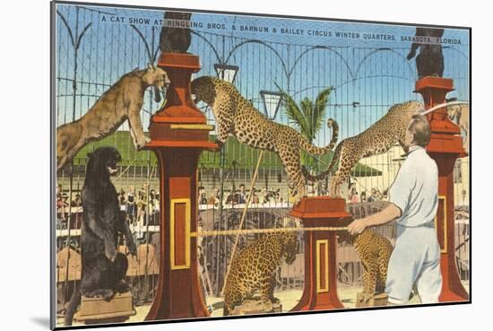 Circus Leopards, Panther, Lion, Sarasota, Florida-null-Mounted Art Print