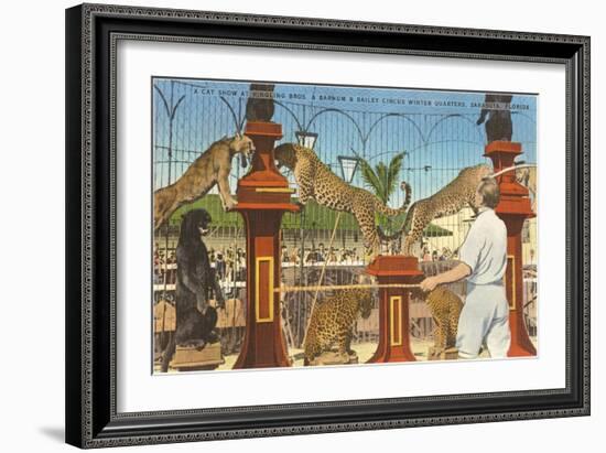 Circus Leopards, Panther, Lion, Sarasota, Florida-null-Framed Art Print