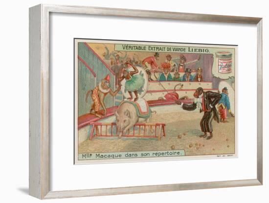 Circus of Monkeys-null-Framed Giclee Print