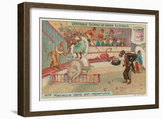 Circus of Monkeys-null-Framed Giclee Print