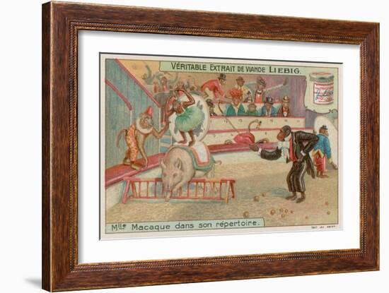 Circus of Monkeys-null-Framed Giclee Print