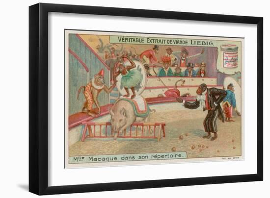 Circus of Monkeys-null-Framed Giclee Print