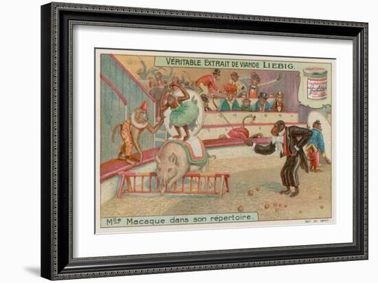 Circus of Monkeys-null-Framed Giclee Print