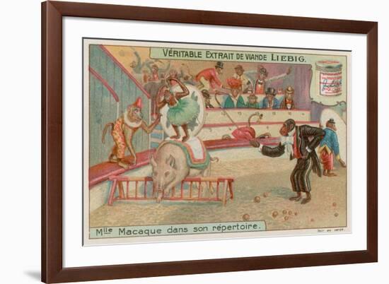 Circus of Monkeys-null-Framed Giclee Print