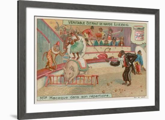 Circus of Monkeys-null-Framed Giclee Print