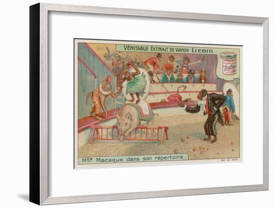 Circus of Monkeys-null-Framed Premium Giclee Print