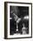 Circus Performer Balancer Unus Standing on His Index Finger on Globe Feet in Air Back of Head-Ralph Morse-Framed Photographic Print