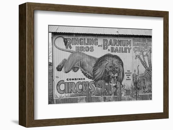 Circus poster covering a building in Alabama, 1936-Walker Evans-Framed Photographic Print