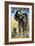 Circus Poster-null-Framed Giclee Print