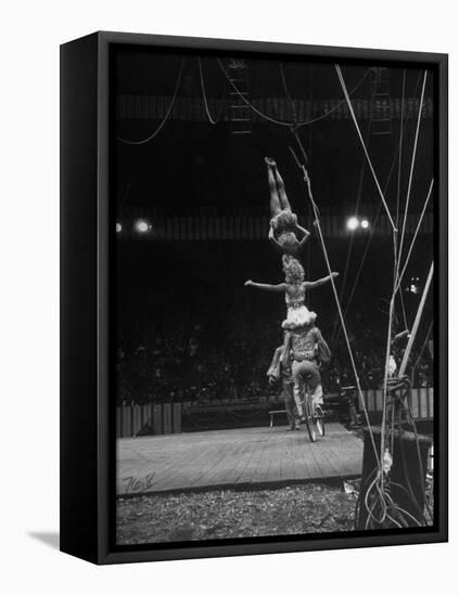 Circus Stacked Up Trio Casually Bicycling around the Board-Ralph Morse-Framed Premier Image Canvas