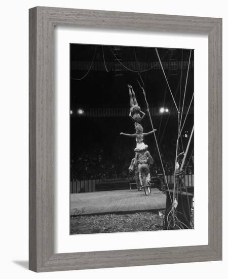 Circus Stacked Up Trio Casually Bicycling around the Board-Ralph Morse-Framed Photographic Print