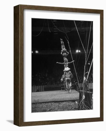 Circus Stacked Up Trio Casually Bicycling around the Board-Ralph Morse-Framed Photographic Print