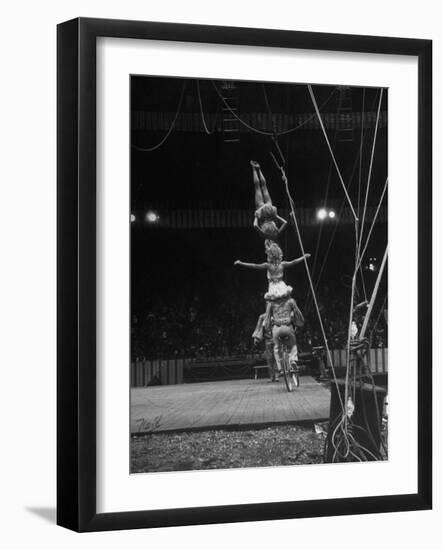 Circus Stacked Up Trio Casually Bicycling around the Board-Ralph Morse-Framed Photographic Print