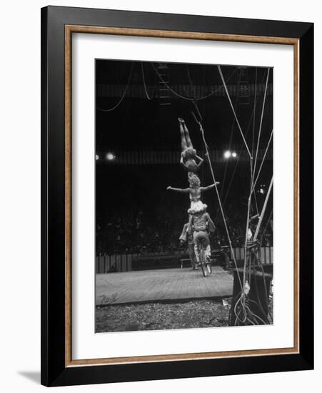 Circus Stacked Up Trio Casually Bicycling around the Board-Ralph Morse-Framed Photographic Print