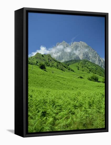 Cirque De Lescun, Le Billare, Pyrenees, Bearn, Aquitaine, France, Europe-David Hughes-Framed Premier Image Canvas