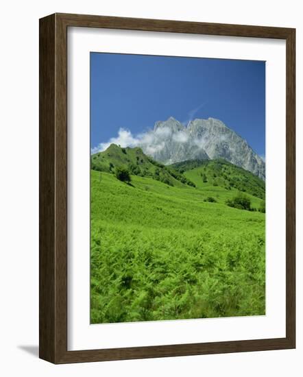 Cirque De Lescun, Le Billare, Pyrenees, Bearn, Aquitaine, France, Europe-David Hughes-Framed Photographic Print