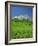 Cirque De Lescun, Le Billare, Pyrenees, Bearn, Aquitaine, France, Europe-David Hughes-Framed Photographic Print