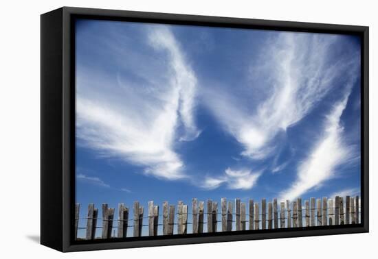 Cirrus Clouds in Summer Sky-Paul Souders-Framed Premier Image Canvas