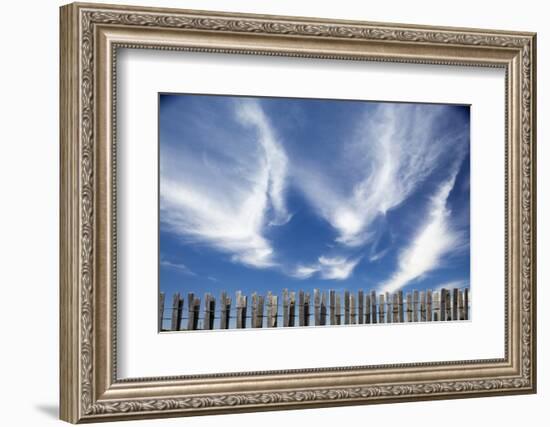 Cirrus Clouds in Summer Sky-Paul Souders-Framed Photographic Print