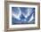 Cirrus Clouds in Summer Sky-Paul Souders-Framed Photographic Print