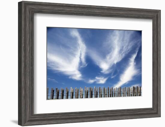 Cirrus Clouds in Summer Sky-Paul Souders-Framed Photographic Print