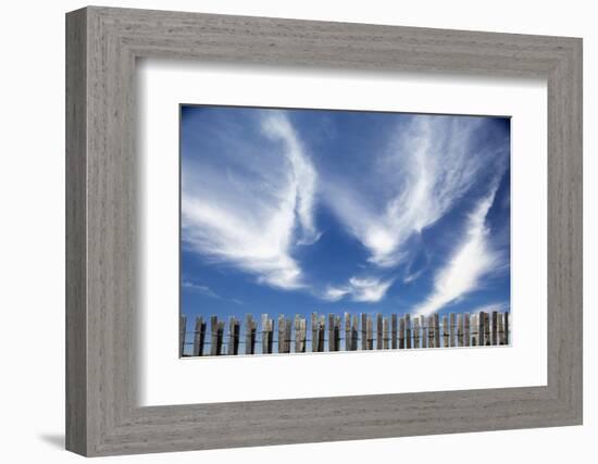 Cirrus Clouds in Summer Sky-Paul Souders-Framed Photographic Print