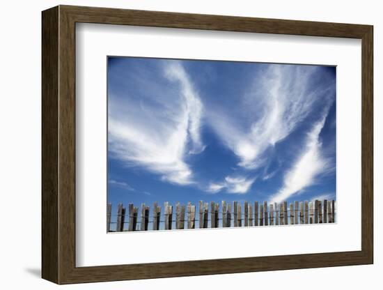 Cirrus Clouds in Summer Sky-Paul Souders-Framed Photographic Print