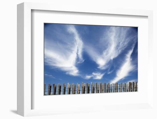 Cirrus Clouds in Summer Sky-Paul Souders-Framed Photographic Print