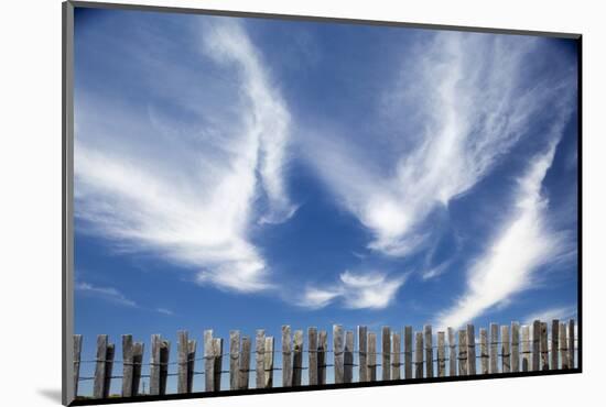 Cirrus Clouds in Summer Sky-Paul Souders-Mounted Photographic Print