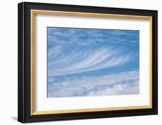 Cirrus clouds-Jim Engelbrecht-Framed Photographic Print