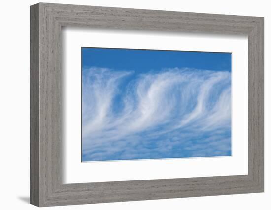 Cirrus clouds-Jim Engelbrecht-Framed Photographic Print