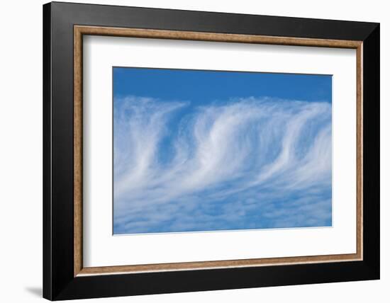 Cirrus clouds-Jim Engelbrecht-Framed Photographic Print