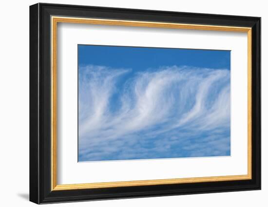 Cirrus clouds-Jim Engelbrecht-Framed Photographic Print