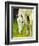 Cisco Sees-Blenda Tyvoll-Framed Giclee Print