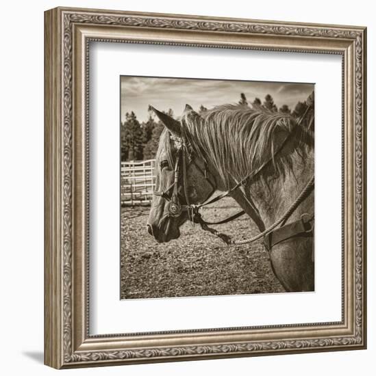 Cisco-Barry Hart-Framed Art Print