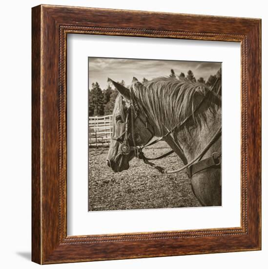 Cisco-Barry Hart-Framed Art Print