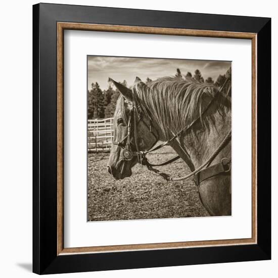 Cisco-Barry Hart-Framed Art Print