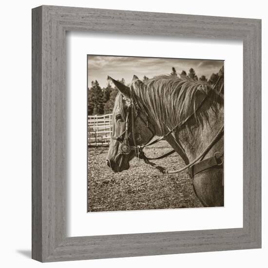 Cisco-Barry Hart-Framed Art Print