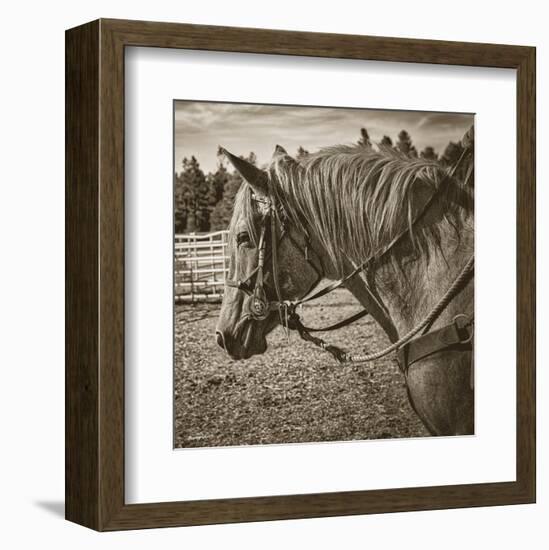 Cisco-Barry Hart-Framed Art Print