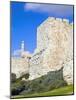Citadel (Tower of David), Old City Walls, UNESCO World Heritage Site, Jerusalem, Israel-Gavin Hellier-Mounted Photographic Print