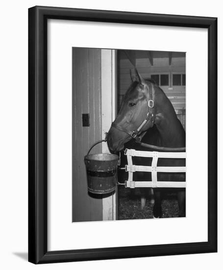 Citation in Stall-Tony Linck-Framed Photographic Print