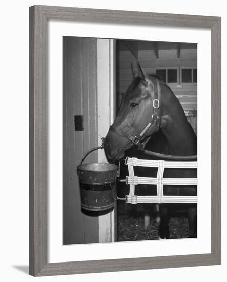 Citation in Stall-Tony Linck-Framed Photographic Print