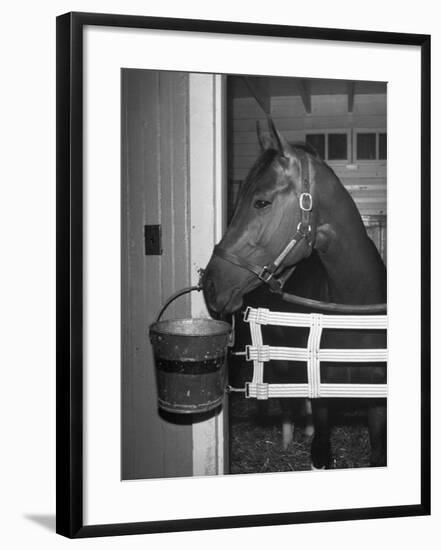 Citation in Stall-Tony Linck-Framed Photographic Print