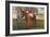 Citation, Kentucky Derby Winner-null-Framed Art Print