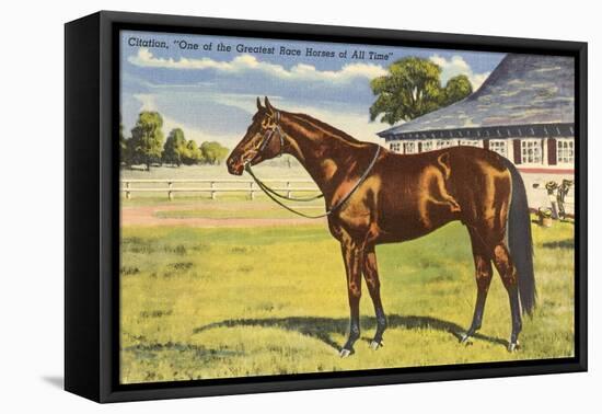 Citation, Kentucky Derby Winner-null-Framed Stretched Canvas