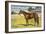 Citation, Kentucky Derby Winner-null-Framed Art Print