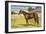 Citation, Kentucky Derby Winner-null-Framed Art Print