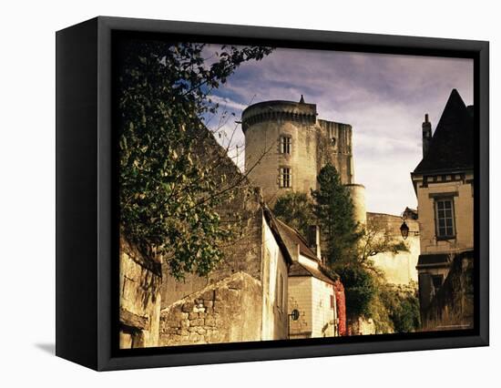 Cite Medievale (Castle District), Loches, Indre-Et-Loire, Loire Valley, Centre, France-David Hughes-Framed Premier Image Canvas