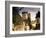 Cite Medievale (Castle District), Loches, Indre-Et-Loire, Loire Valley, Centre, France-David Hughes-Framed Photographic Print