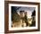 Cite Medievale (Castle District), Loches, Indre-Et-Loire, Loire Valley, Centre, France-David Hughes-Framed Photographic Print